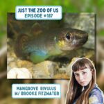 187: Mangrove Rivulus w/ Brooke Fitzwater (AKA "Oceanfilly")! episode logo