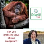 Can You Problem-solve Like an Orangutan? episode logo