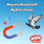 Magnets Messed With My Bird’s Brain! (5/29/23) episode logo
