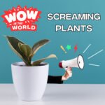 Screaming Plants (5/22/23) episode logo