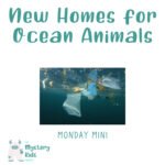 MM: New Homes for Ocean Animals episode logo