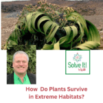 How Do Plants Survive in Extreme Habitats? episode logo