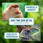 192: Proboscis Monkey & Sarcastic Fringehead episode logo