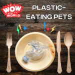 Plastic-Eating Pets (5/15/23) episode logo