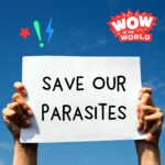 Save Our Parasites (6/26/23) episode logo