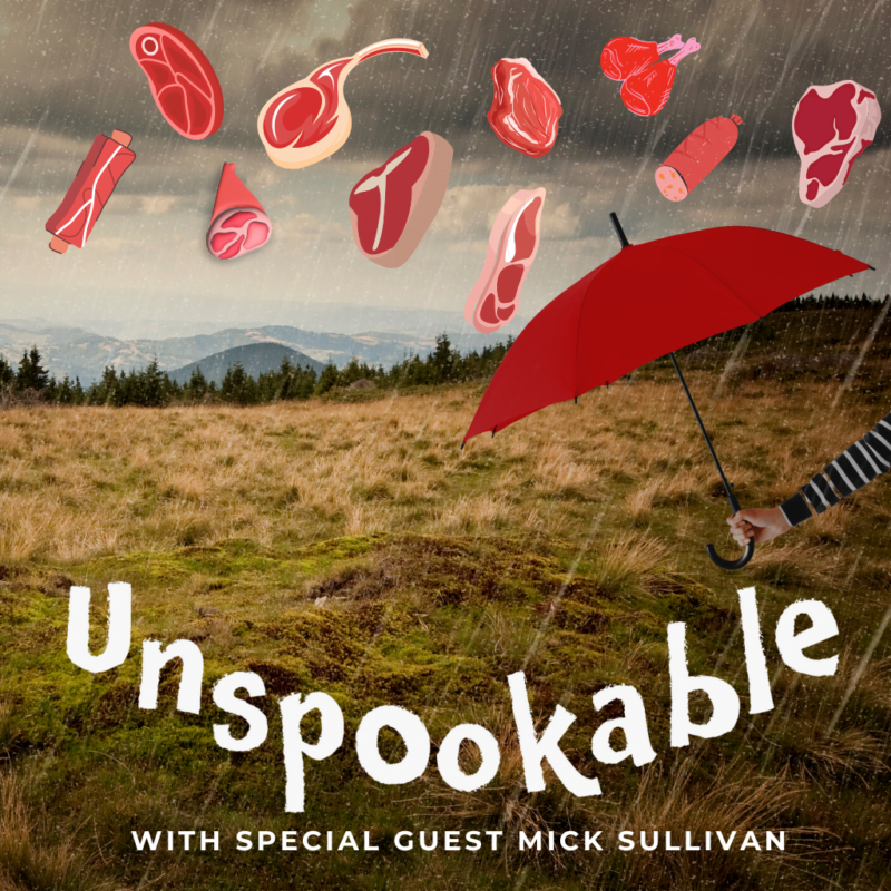 Episode 44 The Kentucky Meat Shower with Mick Sullivan of The Past and The Curious from