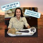 197: Pterosaurs w/ Adele Pentland! episode logo