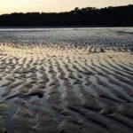 178 Waves of the intertidal zone (Don’t forget Lento’s built for headphones!) episode logo