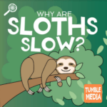 Introducing…Tumble Science Podcast: Why Are Sloths so Slow? episode logo