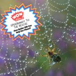 SpiderMindy to the Rescue: How Spider Silk Can Help the Planet! (7/24/23) episode logo