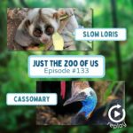 133: Slow Loris & Cassowary (REPLAY) episode logo