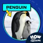 Penguin (8/31/23) episode logo