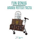 Harry Potter Facts episode logo