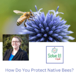 How Do You Protect Native Bees? episode logo