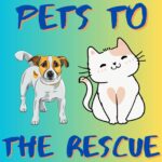 Kid News This Week: Pets to the rescue in Ukraine, cat allergy vaccine, India’s 1st surf competition, cat yoga twist episode logo