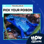 Travelpod: Pick Your Poison (9/21/23) podcast episode