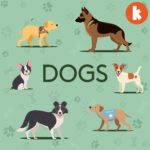 Dogs – Part 1 podcast episode