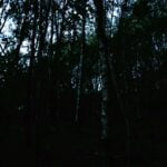 191 Moorland waterfall (sleep safe natural white noise) episode logo