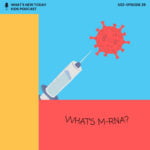 S2 E29: Science & Inventions: What connects a cow, a virus and the Nobel Prize for Medicine in 2023 episode logo