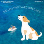 S2 E27: The true story of a dog that saved the lives of three children episode logo