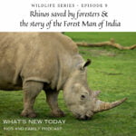 Wildlife Series: Part 9 – Rhinos saved by foresters and a villager called Jadav Payeng who turned a barren island into a forest episode logo