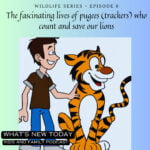 Wildlife series: Part 6 – The fascinating lives of pugees (trackers) who count and save our lions episode logo