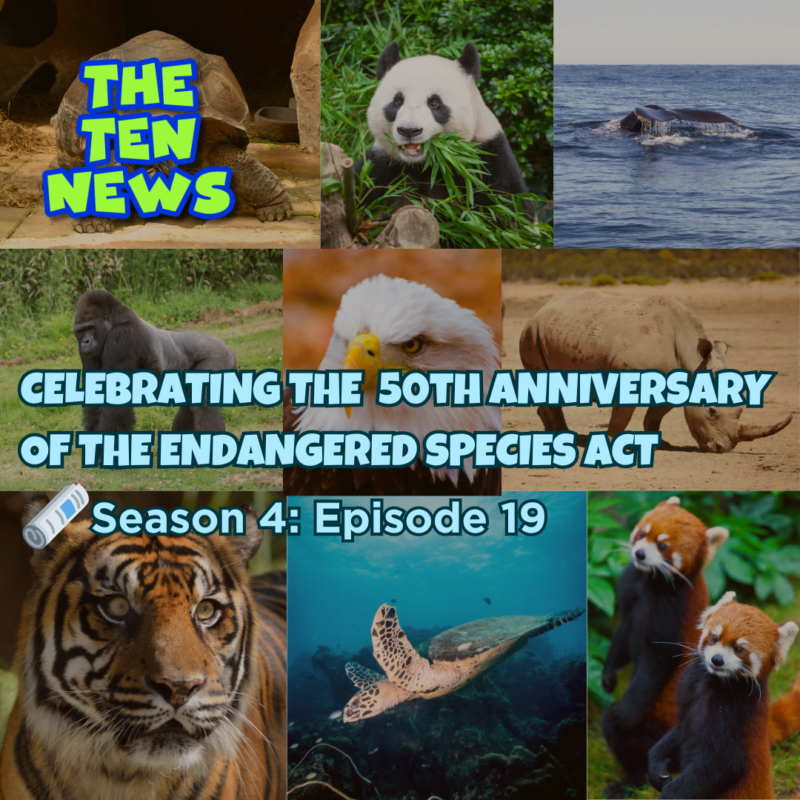 The 50th Anniversary Of The Endangered Species Act From The Ten News ...