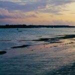 196 Estuary bleak passing ship episode logo