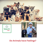 Do Animals have Feelings? episode logo