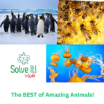 The BEST of Amazing Animals episode logo