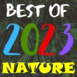 Listen back to our best nature and animal stories of 2023! episode logo