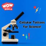 Cellular Tattoos For Science! (1/8/24) episode logo