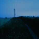 208 Lone tree under windswept telegraph wires episode logo