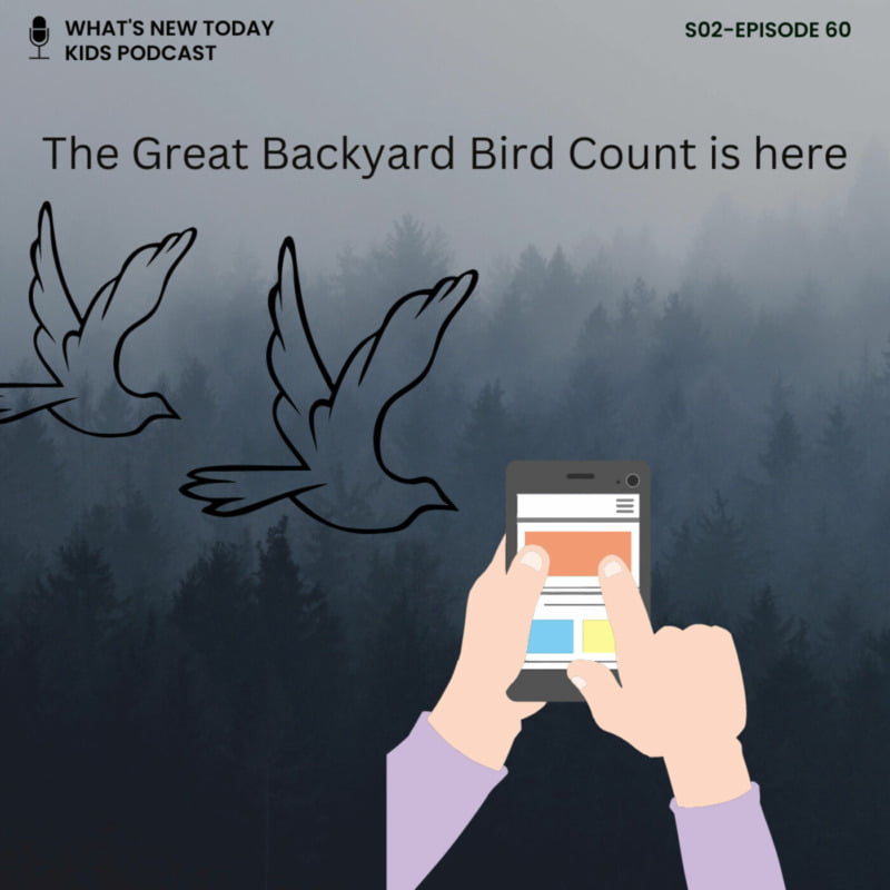 S2 E60: The Great Backyard Bird Count (GBBC) is here! (part 1) from