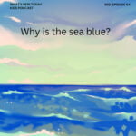 S2 E64: Science – Why is the sea blue? A question that led to a Nobel Prize! episode logo