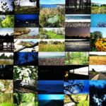 213 Sound-scenes we love from four years of Lento episode logo