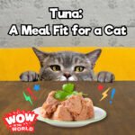 Tuna: A Meal Fit for a Cat (3/18/24) episode logo