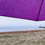 216 Sat on the sand of East Looe beach episode logo