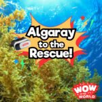 Algaray To The Rescue! (5/6/24) podcast episode