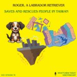 S2 E76: Who are ‘Save and Rescue’ dogs? How did a rescue dog ‘Roger’ help during the most recent earthquake in Taiwan episode logo