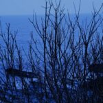 227 Light rain on the headland (sleep safe) episode logo