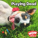 Playing Dead (7/22/24) episode logo