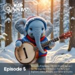 Folks Like Us episode logo