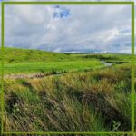 231 Streams and rivers – Intermission 1 episode logo