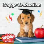Doggo Graduation (8/5/24) episode logo