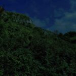 235 Night crickets above distant crashing waves (sleep safe) episode logo