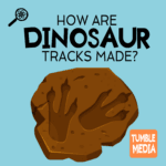 How Were Dinosaur Tracks Made? episode logo
