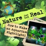 Ep #12 – How to Make an Aquarium Nightlight episode logo