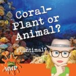 Coral-Plant or Animal? episode logo