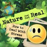 Ep #11 – How to Deal With Anxiety & Stress! episode logo